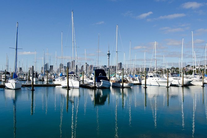 Half-day Discover Auckland City Sightseeing Tour - Crossing to the North Shore: Bridge views and the city across the water