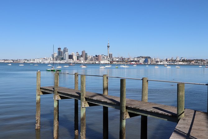 Half-Day: Small Group Auckland Scenic Tour - 4 HOURS - Getting your bearings in 4 hours (without feeling rushed)