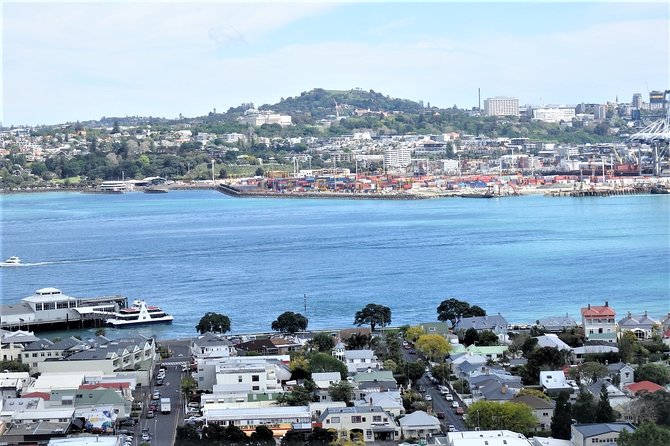 Half-Day: Small Group Auckland Scenic Tour - 4 HOURS - Inner-city beaches, Pohutukawa, and the coastal “daily life” feel