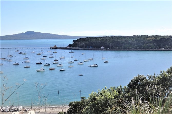 Half-Day: Small Group Auckland Scenic Tour - 4 HOURS - Harbour Bridge, Devonport, and North Shore charm