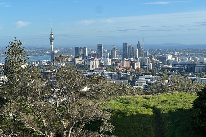 Half-Day Tour: AUCKLAND CITY Highlights with Hotel Pickup - Key Points You’ll Care About