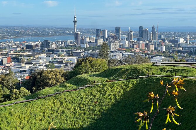 Half-Day Tour: AUCKLAND CITY Highlights with Hotel Pickup - Why This Auckland Highlights Tour Works So Well in a Half Day