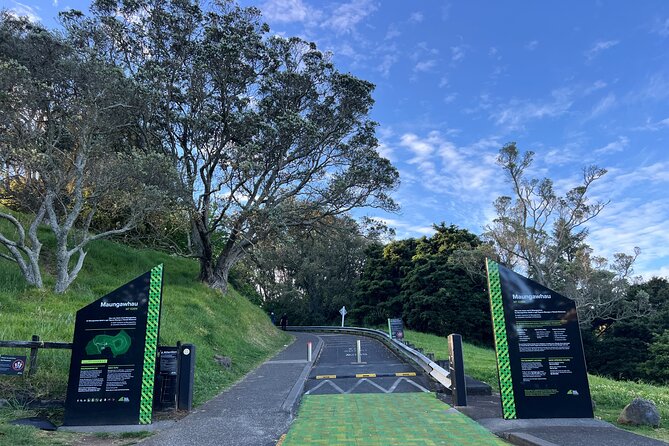 Half-Day Tour: AUCKLAND CITY Highlights with Hotel Pickup - Sky Tower: A Quick First Stop That Sets the Tone