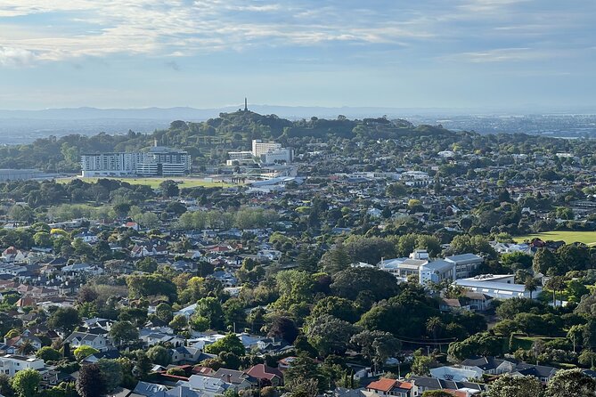 Half-Day Tour: AUCKLAND CITY Highlights with Hotel Pickup - Getting Picked Up: The Real Value of Door-to-Door Service