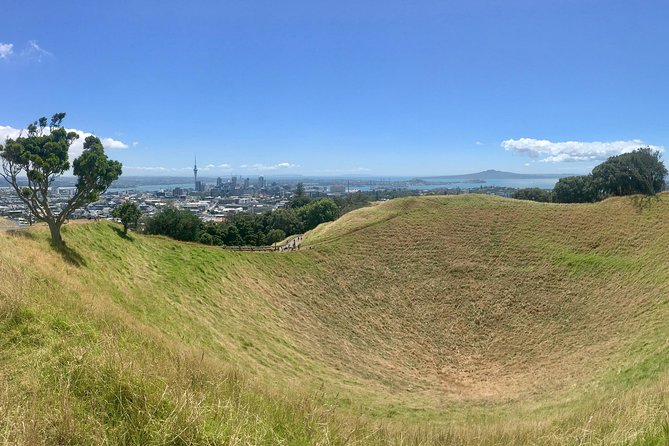 Half-Day Volcano Tour from Auckland - Auckland’s volcanoes: the fastest way to understand the city