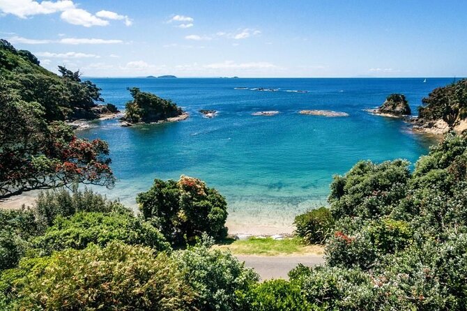 Hauraki Gulf Eco Sailing Adventure - Lunch, Snacks, and Coffee on a Catamaran: Why It’s Not a Throwaway