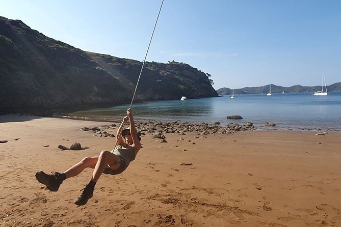 Hauraki Gulf Eco Sailing Adventure - Price and Logistics: Ferries, Meeting Point, and Planning Your Day