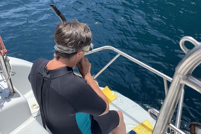 Hauraki Gulf Eco Sailing Adventure - Stop 2: Hauraki Gulf Marine Park Sailing With Seabirds (and Maybe More)
