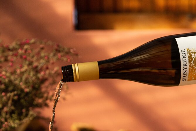 High End Sommelier Tour on Waiheke Island - Why Waiheke wine tastes like a view (not just a lesson)