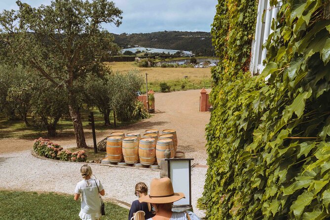 High End Sommelier Tour on Waiheke Island - Stop-by-stop: what you’ll likely notice at each vineyard