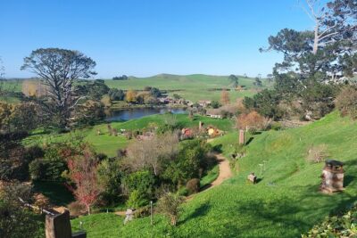 Hobbiton Afternoon Tour in Luxury Minibus from Auckland - The Waikato Drive: Dairy Country, Sheep Farms, and Guide Time