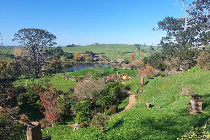 Hobbiton Afternoon Tour in Luxury Minibus from Auckland - The Waikato Drive: Dairy Country, Sheep Farms, and Guide Time