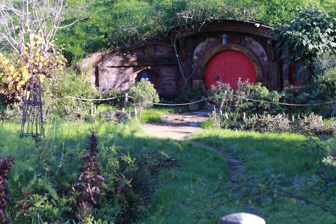 Hobbiton and Waitomo Caves from Auckland - Smaller Group - Waitomo Glow-worm Cave: How to Make the Most of the 60-Minute Visit