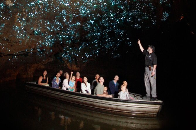 Hobbiton and Waitomo Caves Small Tour from Auckland - Price and value: why $313.39 can be fair