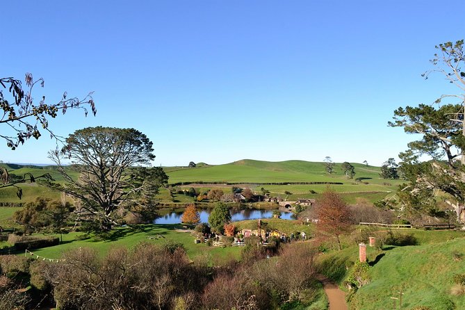 Hobbiton Movie Set day tour From Auckland - Green Dragon Inn drink: the calm reset after the walking