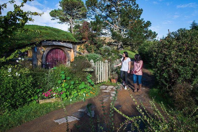 Hobbiton Movie Set Group Tour Early Access (Avoid the crowds!) - Why early access at Hobbiton changes the whole day