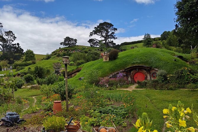 Hobbiton Movie Set Guided Day Tour with Lunch from Auckland - Picnic lunch at Hobbiton: light food that keeps the magic going