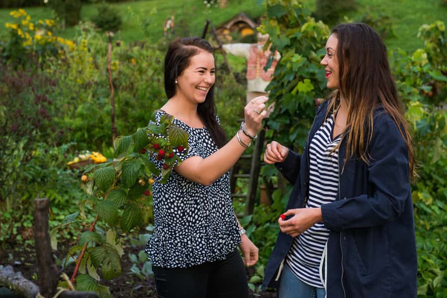 Hobbiton Movie Set & Rotorua Premium Day Tour from Auckland - Pōhutu Geyser timing and the mud pools you can see up close