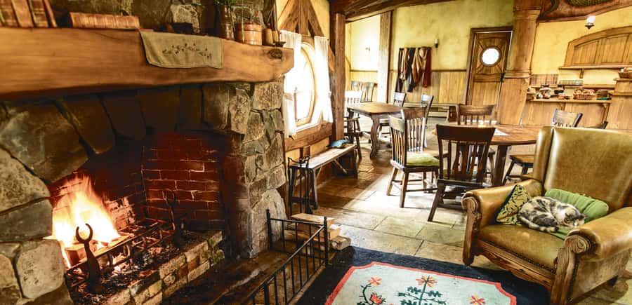 Hobbiton Movie Set & Rotorua Premium Day Tour from Auckland - Kiwi at Nga Manu Ahurei: a chance to spot live birds