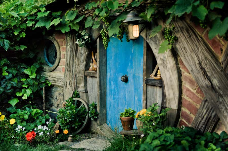 Hobbiton Movie Set & Rotorua Premium Day Tour from Auckland - Return to Auckland: what your day feels like at the end