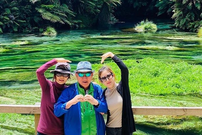 Hobbiton Movie Set tour & Glowworm Cave day tour - Waitomo Glowworm Caves: one guided hour under thousands of lights