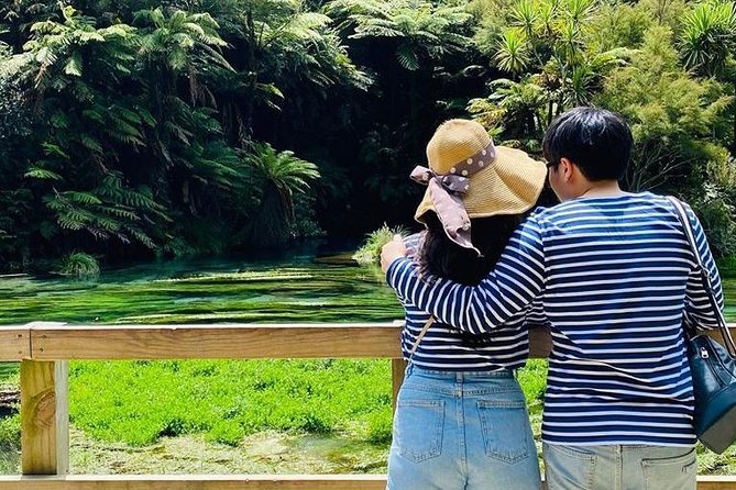 Hobbiton Movie Set tour & Glowworm Cave day tour - Getting back to Auckland: why the total day feels long