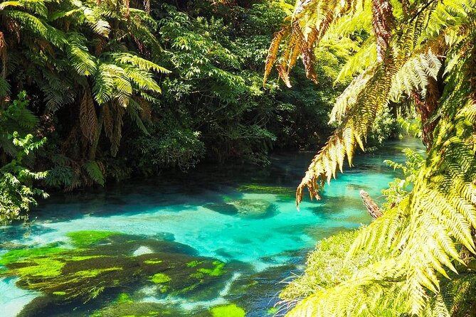 Hobbiton Movie Set Tour to Blue Springs and Mineral Spa - The long-day reality: how the timing adds up