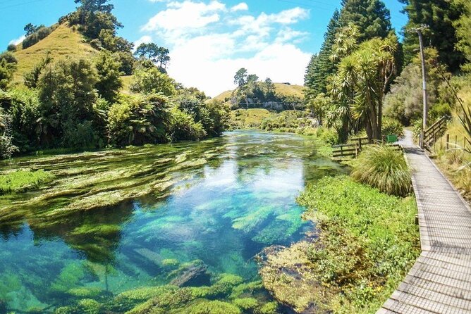 Hobbiton Movie Set Tour to Blue Springs and Mineral Spa - Price and value: is $456.12 per person worth it?