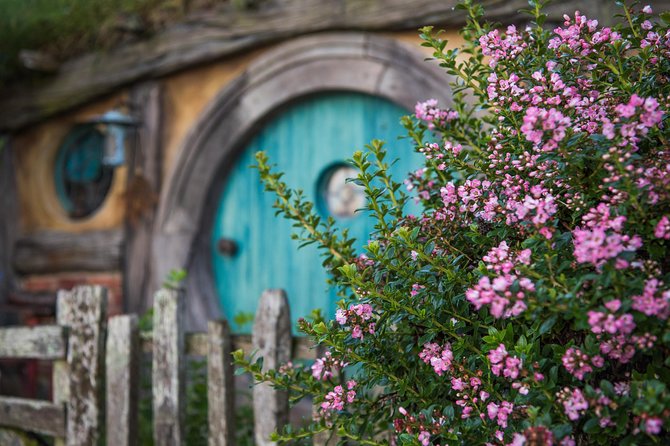 Hobbiton Movie set & Waitomo Caves Small Group Tour From Auckland - Key Things I’d Pay Attention To