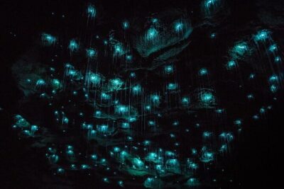 Hobbiton Movie Set & Waitomo Glow Worm Caves Private Tour - Green Dragon Inn drink: a real comfort stop, not a throwaway extra