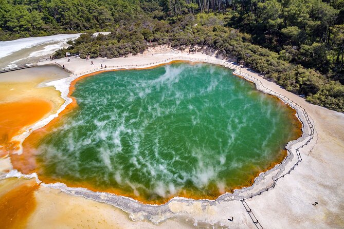 Hobbiton & Rotorua including Wai-O-Tapu - Small Group Tour from Auckland - Key highlights worth knowing before you go