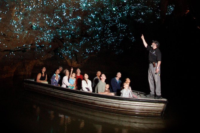 Hobbiton & Waitomo Caves Exclusive Luxury Day Tour From Auckland - Key points before you go