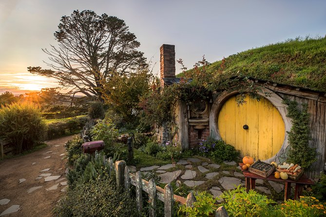 Hobbiton & Waitomo Caves Guided Tour from Auckland with Lunch - Lunch at Waitomo: a included picnic break that keeps the day moving