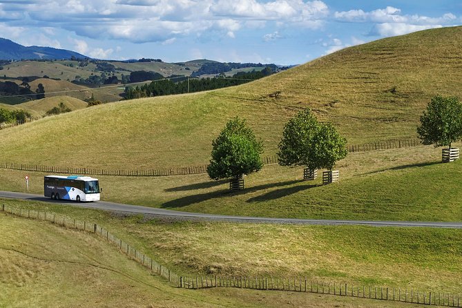 Hobbiton & Waitomo Caves Guided Tour from Auckland with Lunch - Timing, crowds, and how to make a 12-hour day feel doable