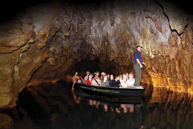 Hobbiton & Waitomo Caves Guided Tour from Auckland with Lunch - Value check: does $271.19 make sense for this one-day combo?