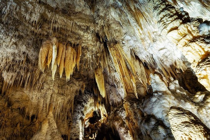 Hobbiton & Waitomo Caves Small Group Tour from Auckland inc Lunch - Back to Auckland: guided return with scenic extras (and no driving stress)
