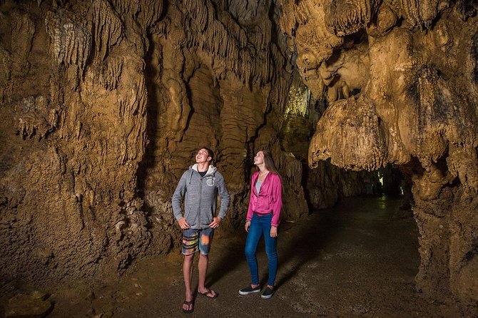Hobbiton & Waitomo Caves Small Group Tour from Auckland inc Lunch - Price and value: is $235.20 worth it for this packed North Island day?