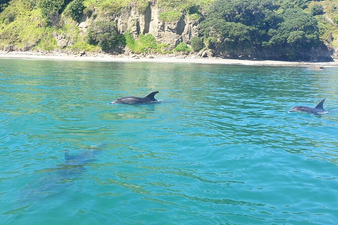 Jet Ski Hire Auckland - Experience the Fun with the Best Operator - Jet Ski Fishing with Shimano Softbait Rods and a Lowrance Finder