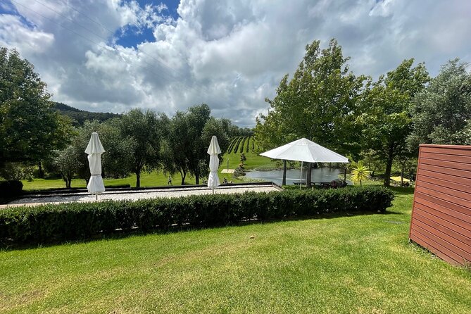 Kumeu Wine Tour - Soljans Estate Winery: family-run Kumeu classics