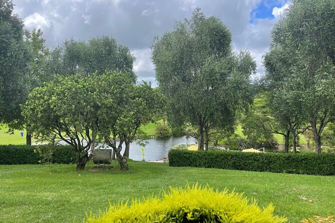 Kumeu Wine Tour - Who this tour fits best