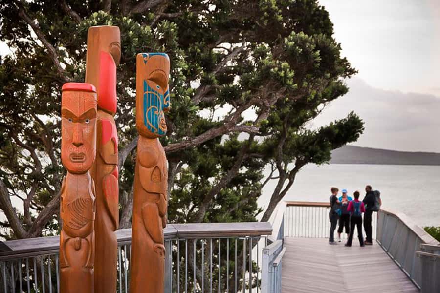 Luxury Auckland Maori Tour - Mercedes Comfort and the 9am–5pm Day Rhythm