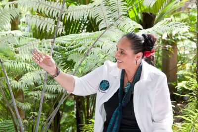 Luxury Auckland Maori Tour - Auckland City Stops: Museum, Domain, Parnell, and Tamaki Drive