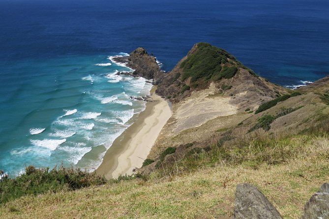 Luxury Private Transfers: Auckland Airport to City - Where you get dropped off: Auckland CBD and beyond
