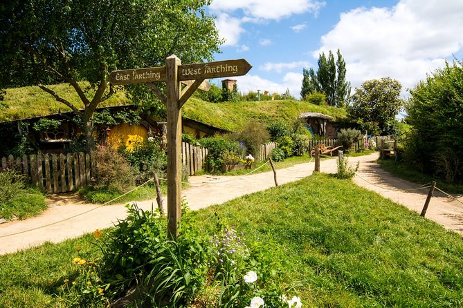 Luxury Small group tour from Auckland to Hobbiton Movie Set - Key highlights