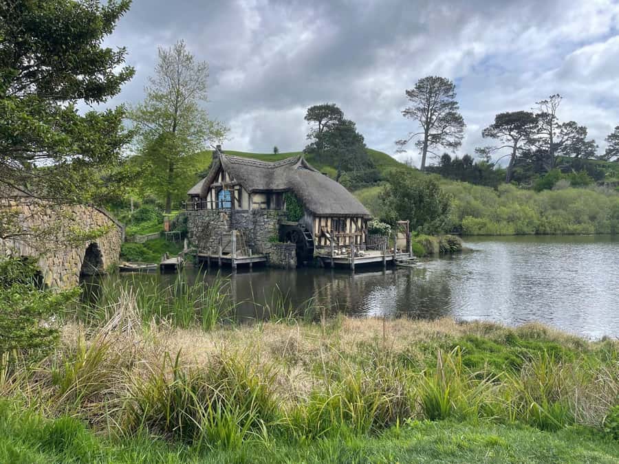 Magical Hobbiton & Waitomo Caves Small Group from Auckland - Shire’s Rest at Alexander Family Sheep Farm: sheep, snacks, and a short pause