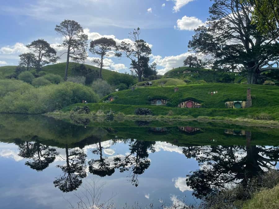 Magical Hobbiton & Waitomo Caves Small Group from Auckland - Waitomo Glowworm Caves: limestone formations and that boat ride overhead