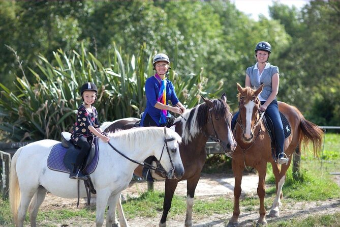 Matakana Art & Horse Riding Experience Private Tour From Auckland - Key Points to Know Before You Go