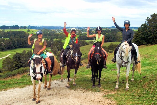 Matakana Art & Horse Riding Experience Private Tour From Auckland - Matakana Day Trip Without the Stress