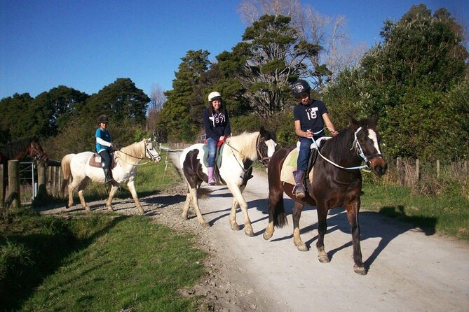 Matakana Art & Horse Riding Experience Private Tour From Auckland - Sculptureum Sculpture Gardens and Galleries in 3 Hours