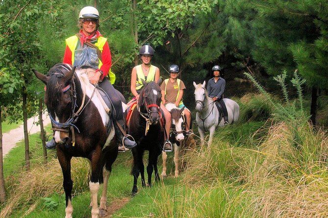 Matakana Art & Horse Riding Experience Private Tour From Auckland - Price, Timing, and Suitability: Who Should Book